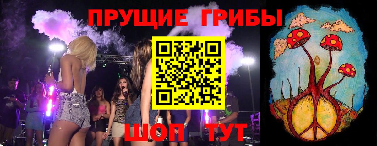 Галлюциногенные грибы GOLDEN TEACHER  Псилоцибиновые грибы Psilocybine cubensis  Гулькевичи  Вход с VPN 