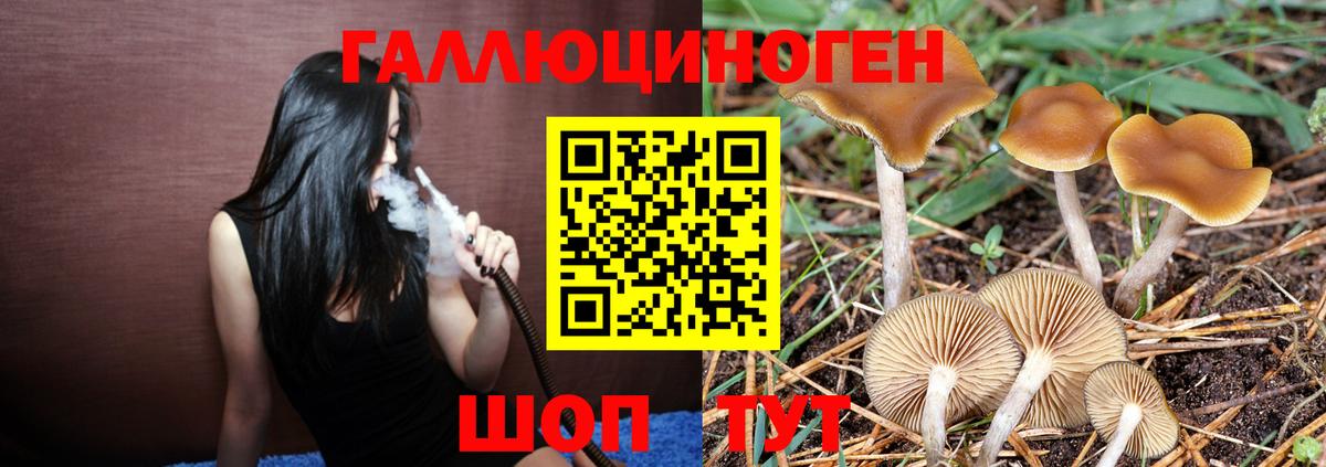 Псилоцибиновые грибы Magic Shrooms Гулькевичи